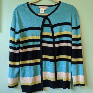 Striped Mullticolor Coldwater Creek Sweater